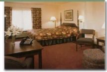 Wingate Inn Orlando - Room